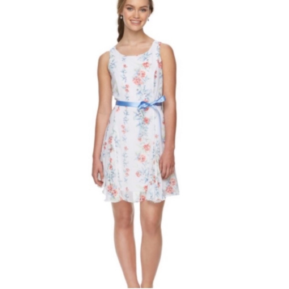 Alice in Wonderland NWOT Dress